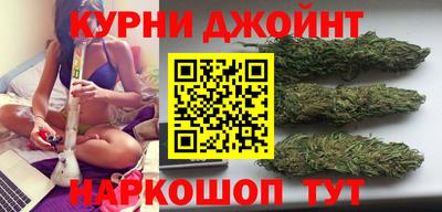 гидропоника Кингисепп