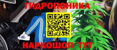гидропоника Кингисепп